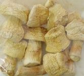 cogumelos agaricus blazei